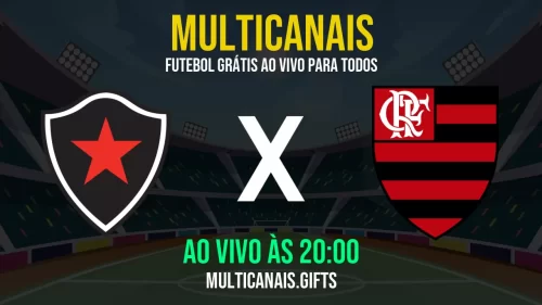 Assista Botafogo-PB x Flamengo ao vivo pela internet – grátis 24h HD